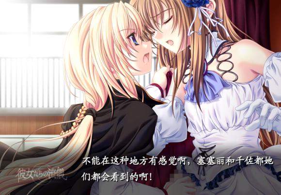 【PC游戏】她们的流仪(双线汉化)