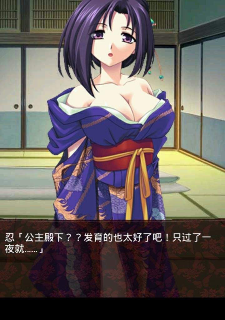 【安卓游戏】透视忍者