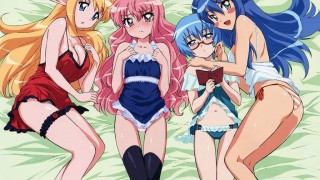 【动漫下载】零之使魔【四季+OVA+特典全】【合集】BD 720P[内嵌字幕]-萌心次元|MoxACG.Moe