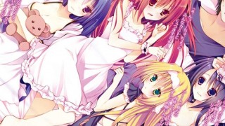 【动漫下载】【自压】精灵使的剑舞【1-12+OVA1-6】【无修】BD 720P[内嵌字幕]-萌心次元|MoxACG.Moe