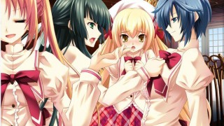 【PC游戏】花鸟风月 ～坠入爱河的花园之姬～汉化硬盘版-萌心次元|MoxACG.Moe