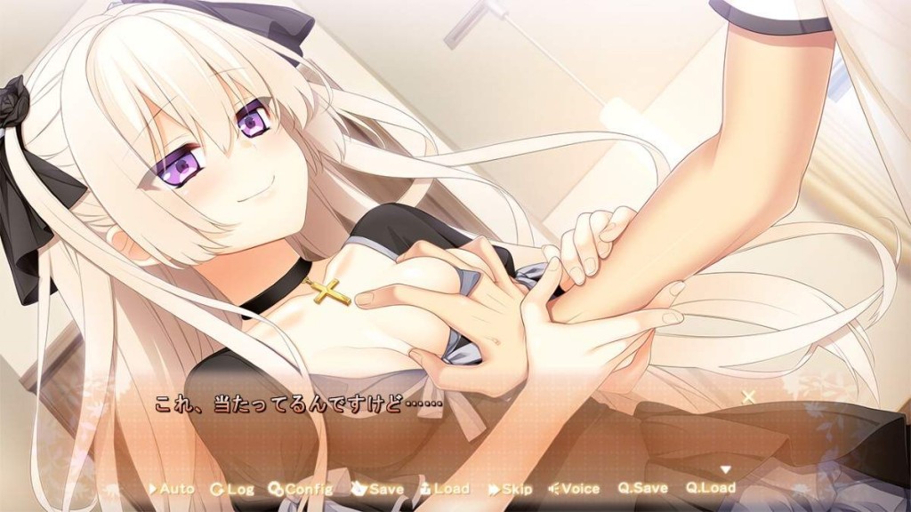 【绅士游戏】[脳内彼女] 賢者の贈り妹 (パッケージ版 + レーベル)