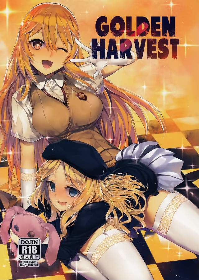 【绅士本子】[年糕汉化组](C84) [煩悩ストリーム (shri)] GOLDEN HARVEST (とある科学の超電磁砲)