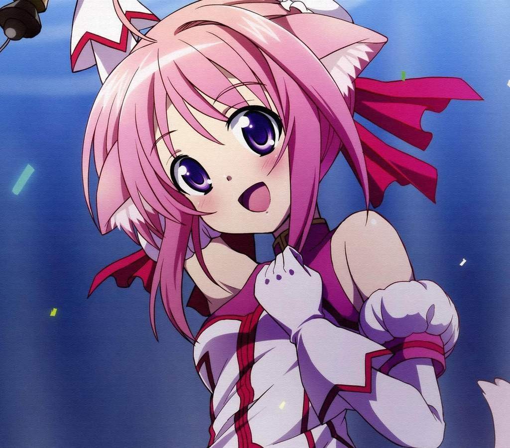 【动漫下载】DOG DAYS