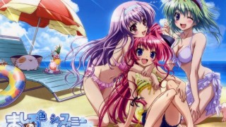 【动漫下载】纯白交响曲【1-12+SP全】BD 720P[内嵌字幕]-萌心次元|MoxACG.Moe