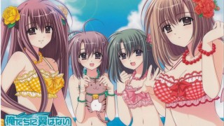 【动漫下载】我们没有翅膀【无修】BD 720P[内嵌字幕]-萌心次元|MoxACG.Moe