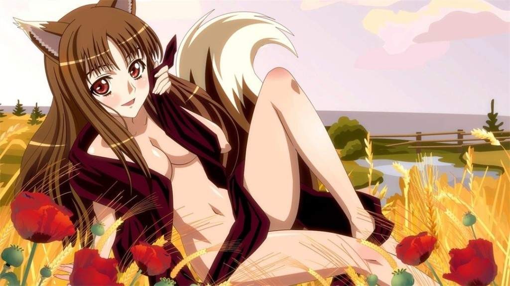 【动漫下载】狼与香辛料【两季+SP全】BDrip 720P[内嵌字幕]