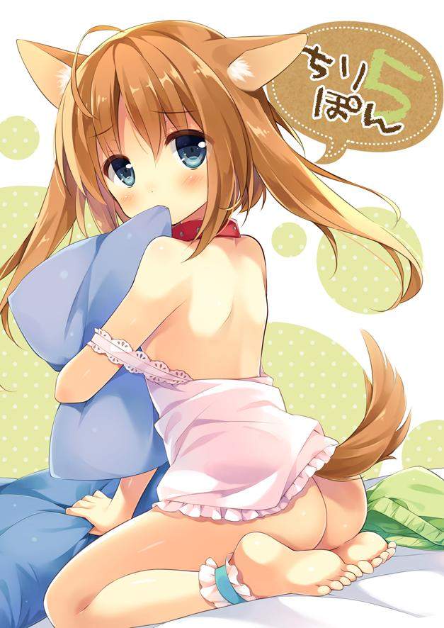 【P站日榜】2015.11.11 pixiv日榜美图完整版下载