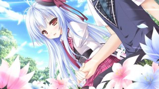 【PC游戏】花色七芒星 汉化免安装版-萌心次元|MoxACG.Moe