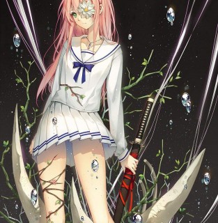 【P站日榜】2015.12.11 pixiv日榜美图完整版下载-萌心次元|MoxACG.Moe