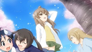 【动漫下载】【720p】南家三姐妹系列-萌心次元|MoxACG.Moe