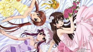 【动漫下载】[妹妹公主][Sister Princess Re Pure][1-2季全][ova][内嵌字幕]-萌心次元|MoxACG.Moe