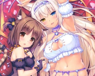 【K站壁纸】福利风-萌心次元|MoxACG.Moe