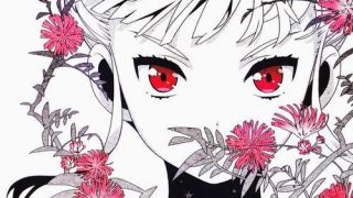 euphoria-萌心次元|MoxACG.Moe