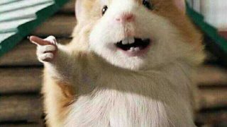 【三次元】早乙女萝莉-萌心次元|MoxACG.Moe