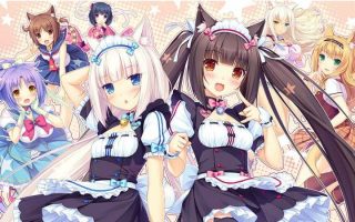 艹猫合集-萌心次元|MoxACG.Moe