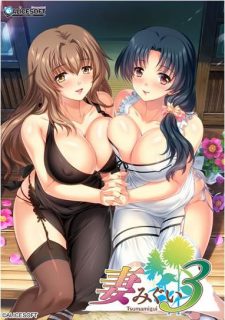 【绅士游戏】妻みぐい3-萌心次元|MoxACG.Moe