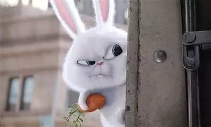 69df44edgw1f8e9sbgrgzj222n35fqv6