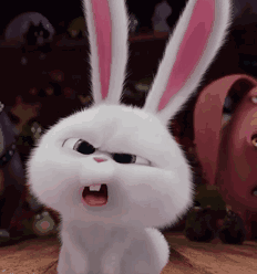 QQ图片20161114164034