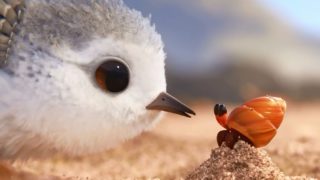 【皮克斯动画短片】《鹬》piper 2016【1080p】-萌心次元|MoxACG.Moe