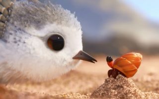 【皮克斯动画短片】《鹬》piper 2016【1080p】-萌心次元|MoxACG.Moe