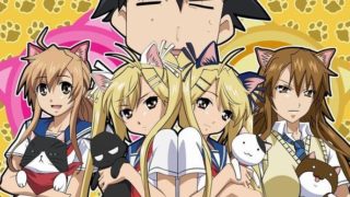 【动漫下载】《猫愿三角恋》720P1-12集-萌心次元|MoxACG.Moe