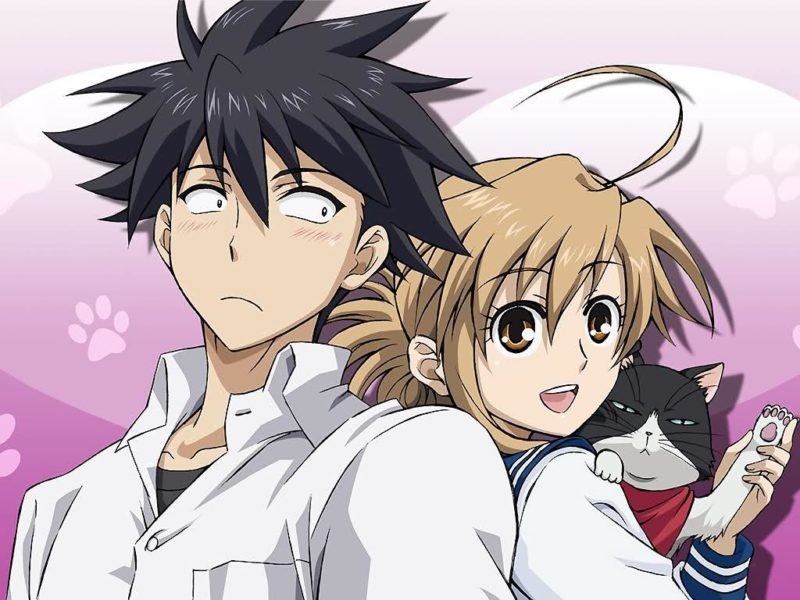 e4d5e20b9d18a1fe56728a4c228eec29-800x600