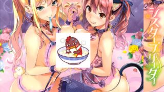 [武田弘光] シスターブリーダー [[DL版]]-萌心次元|MoxACG.Moe