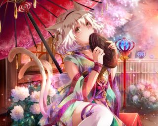 Y站图集(45)-萌心次元|MoxACG.Moe