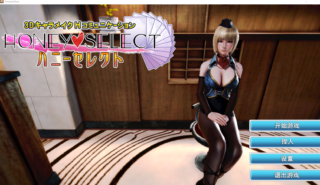 淘宝奸商购买的最全MODHoneySelect-萌心次元|MoxACG.Moe