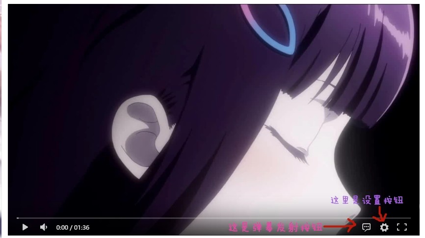 图片[1]-弹幕播放器食用说明-萌心次元|MoxACG.Moe