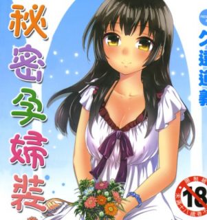 [久遠ミチヨシ] ヒメゴトマタニティ-萌心次元|MoxACG.Moe