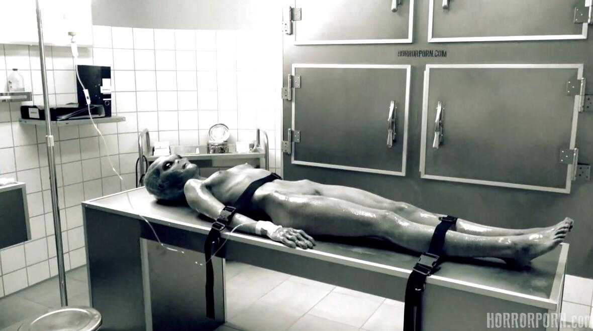 图片[1]-【重口慎入】Amateurs – Roswell ufo-萌心次元|MoxACG.Moe